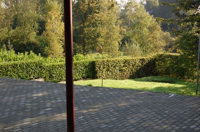 Le jardin de l'école bordé d'une haie