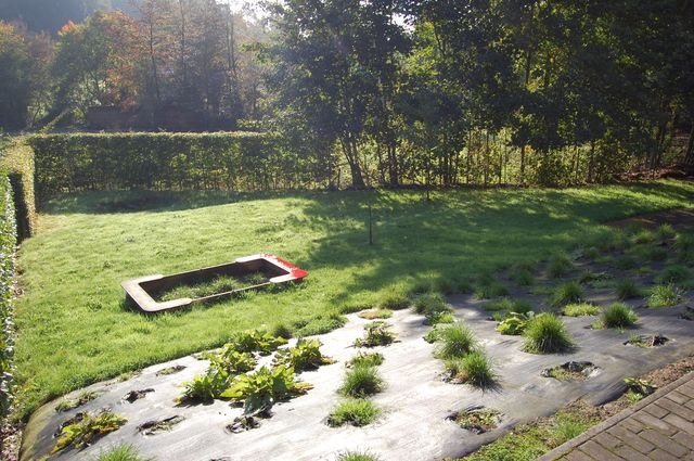 La pelouse et le trampoline enterré