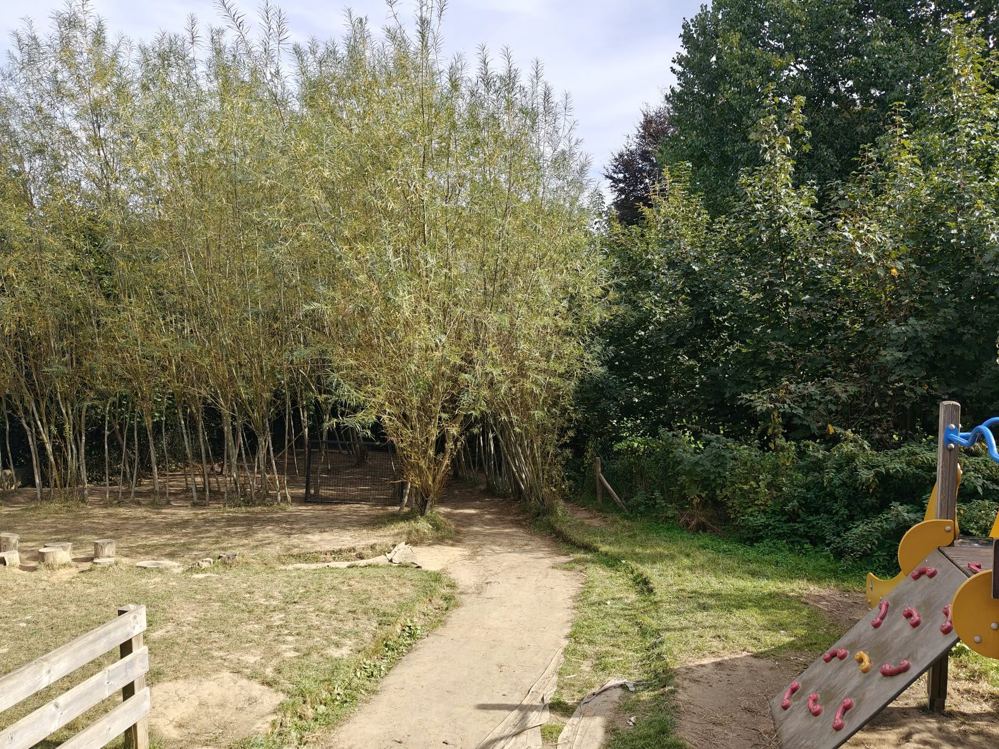 L’espace de sable bordé de bambous, au fond du jardin