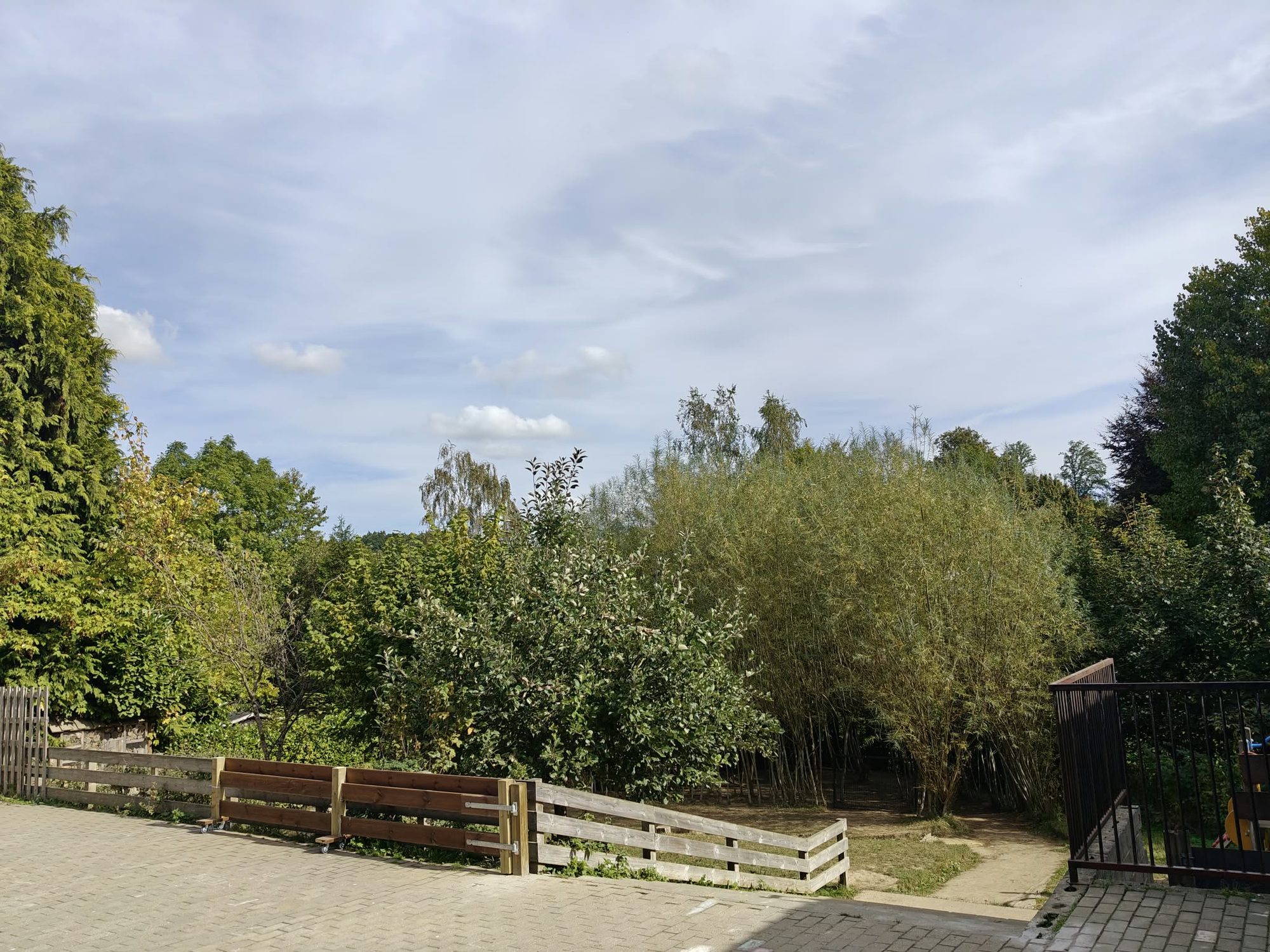 Le jardin de l’école, son bosquet et sa clôture en bois